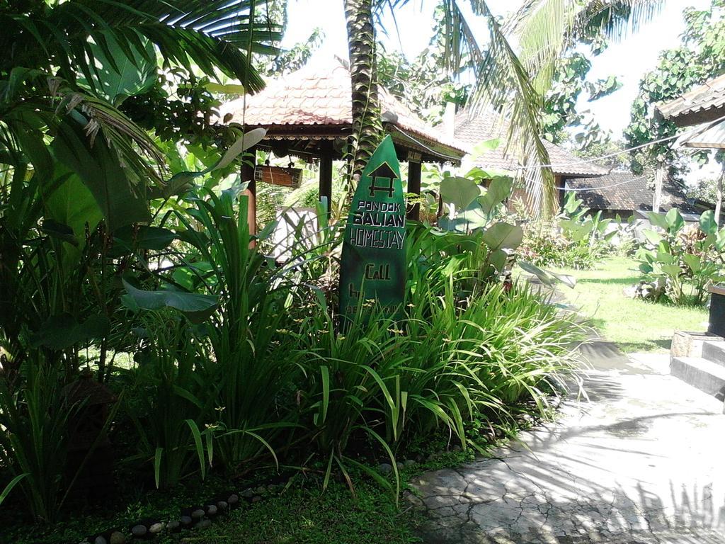 Pondok Balian Selemadeg  Exterior foto